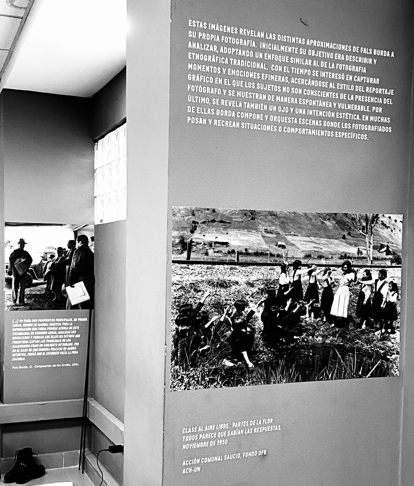 Homenaje a Fals Borda